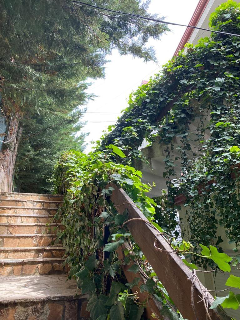 The Olives Terrace Residences Dhërmi エクステリア 写真